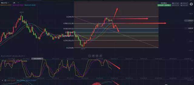 Celestia股价上涨背后的动因及潜在TIA回调风险解析