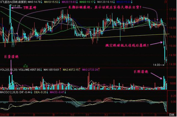 Celestia股价上涨背后的因素及潜在TIA回调风险分析