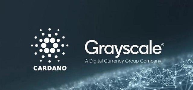 Cardano区块链与联合国难民署合作共创数字未来