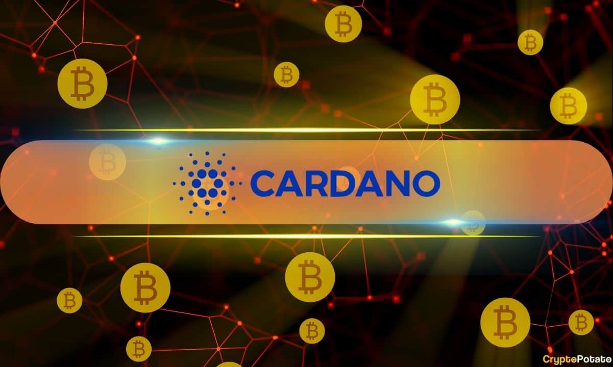 新的Cardano区块链产品携手联合国难民署，共创数字未来