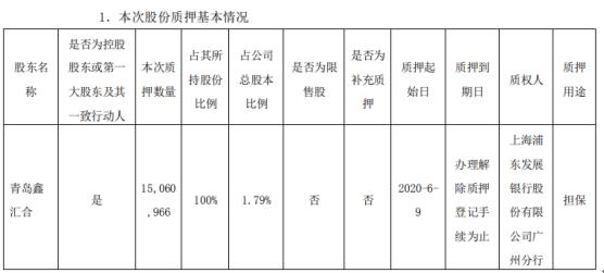 公司财务部关于协议质押的声明，提供安全保障并非担保