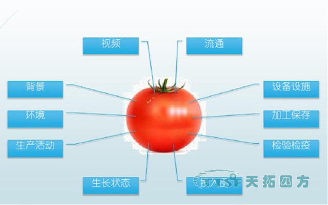 专家指出，银行正在考虑采用XRP技术运行整个数字生态系统