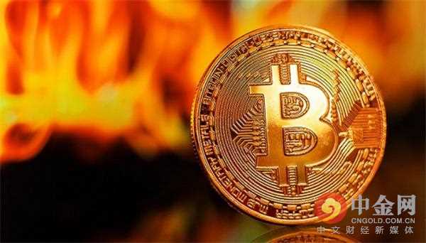 比特币资金公司高管深度解读，持有更多比特币的决策与前景展望