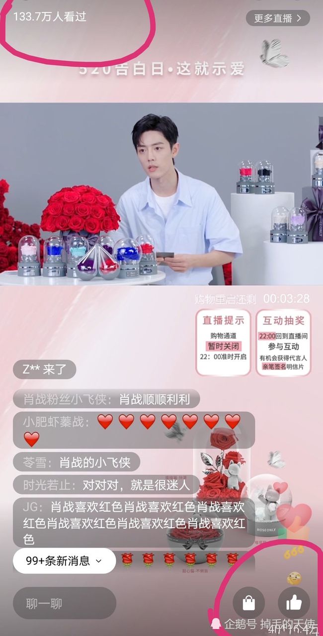 XRP鲸鱼地址数量创历史新高，背后的意义与影响