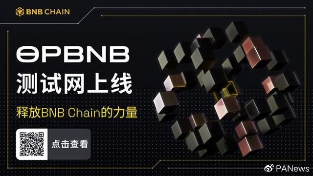 BNB 链在 Layer 1 争夺战中势头强劲，为投资者带来潜在机会