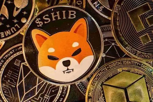 柴犬的Shibarium交易量激增54%，标志着里程碑式的进展