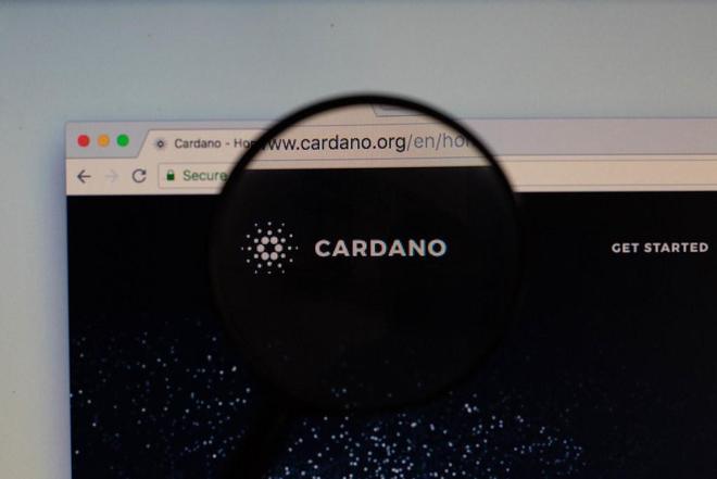 Cardano的Bodega与Sundial合作，在比特币DeFi领域开辟新道路