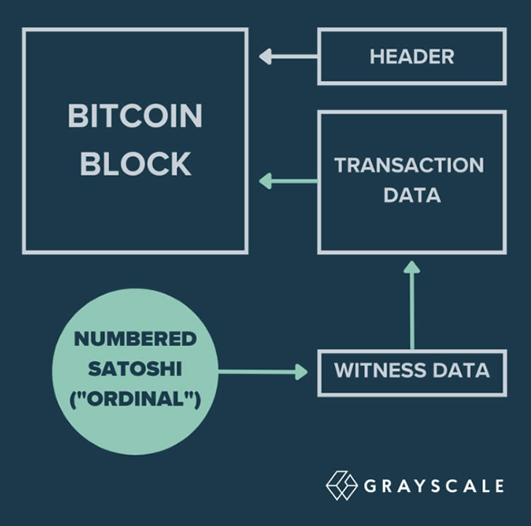 Bitget钱包与Paydify合作推动加密货币日常支付普及