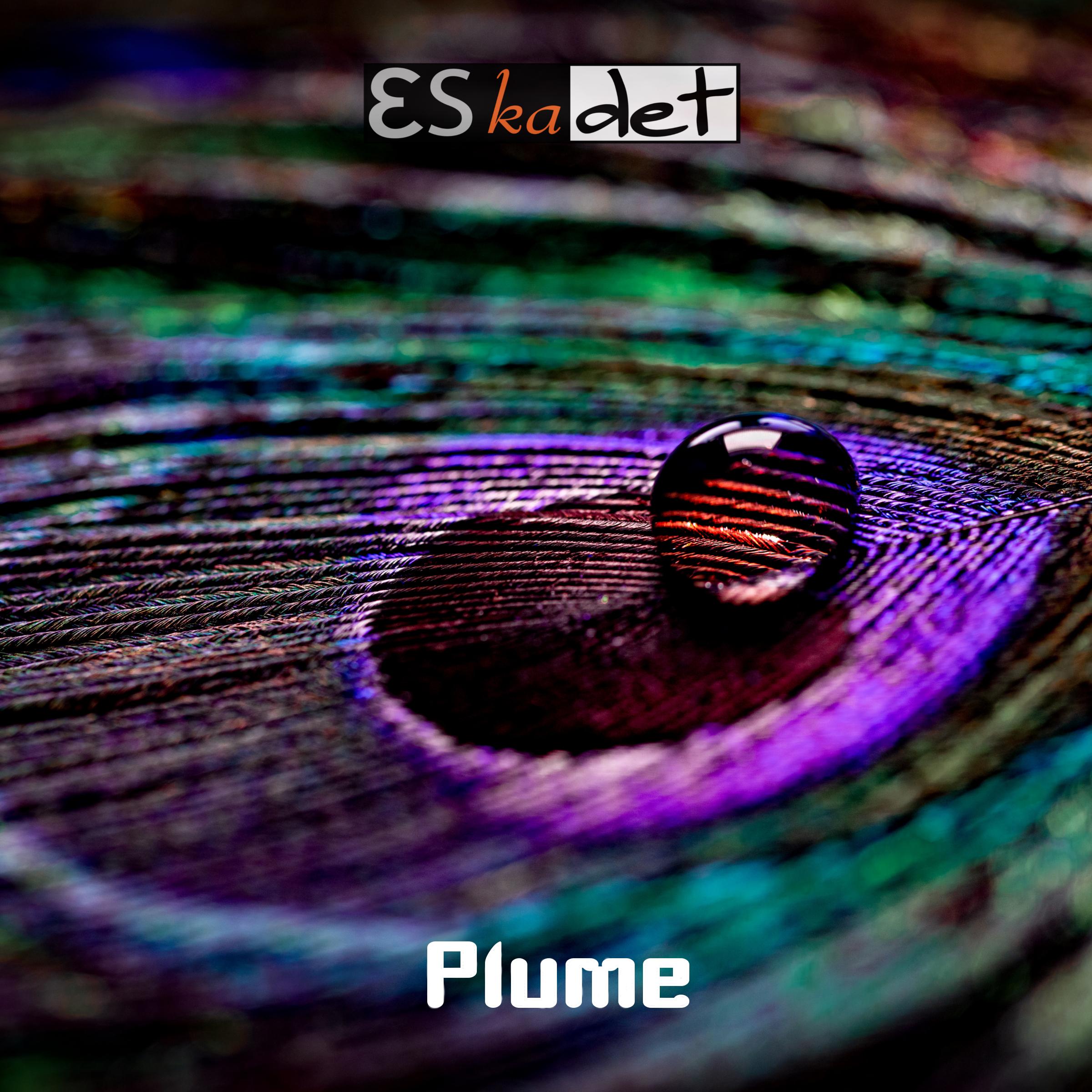 Plume与索尼Soneium合作，现实世界收益引领区块链时代新篇章