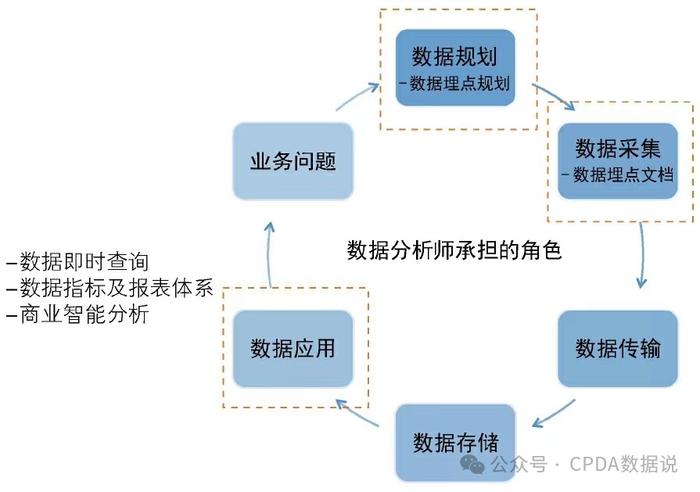 XRP所有权细分，分析师揭示令人震惊的统计数据