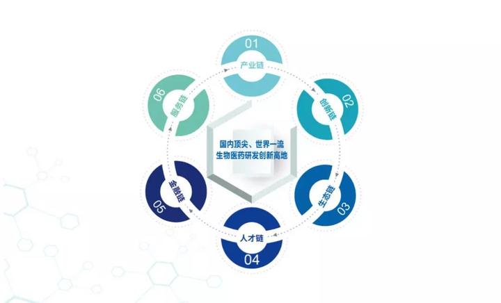 创新制药生物技术公司与Conflux区块链合作的探索之旅