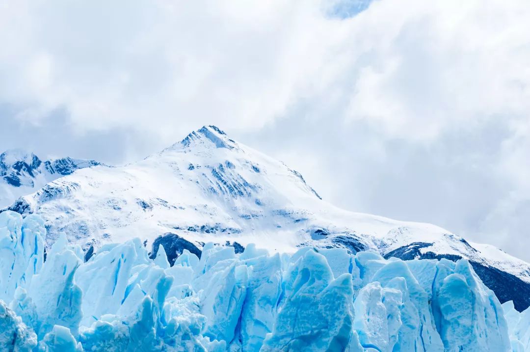 Cardano Midnight 推出大规模 Glacier 空投，你需要知道的一切